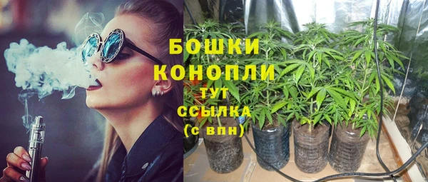 мяу мяу мука Богданович