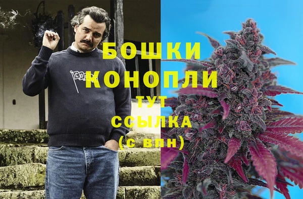 молекула духа Богородск
