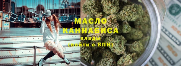 мдпв Богородицк