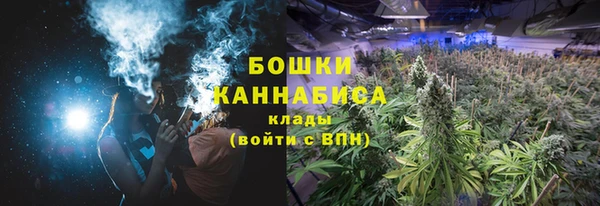 молекула духа Богородск