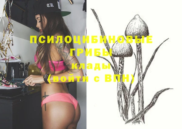 мдпв Богородицк
